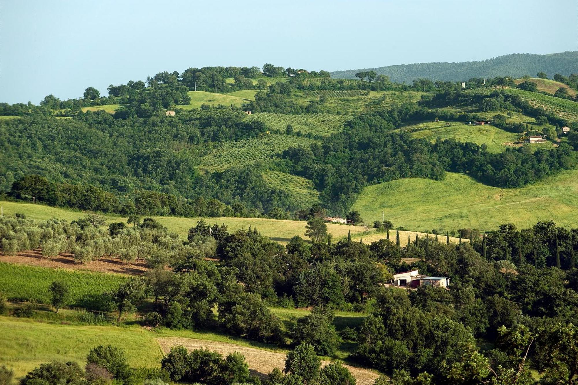 Saturnia Tuscany Country House מראה חיצוני תמונה